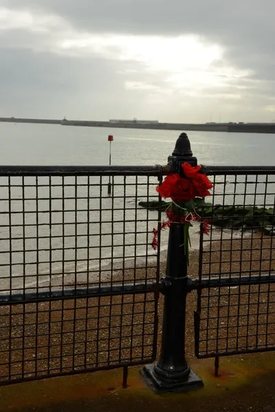 DSC_1271 (Large).JPG